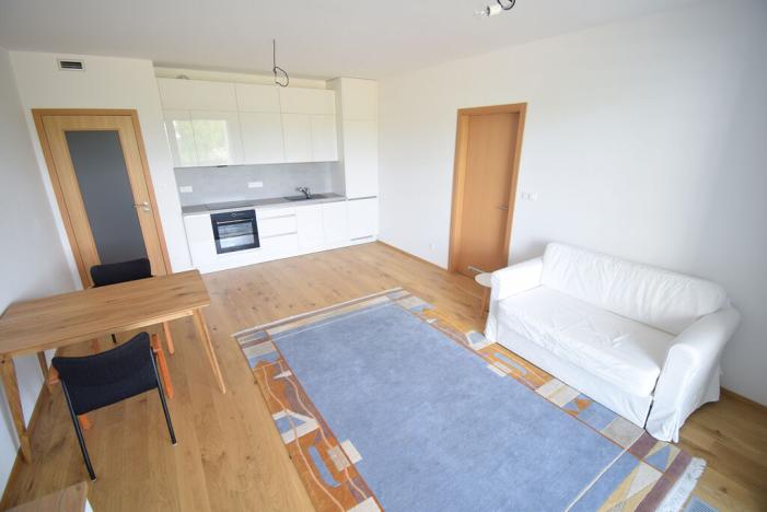Pronájem bytu 2+kk, Praha - Karlín, Sokolova, 58 m2