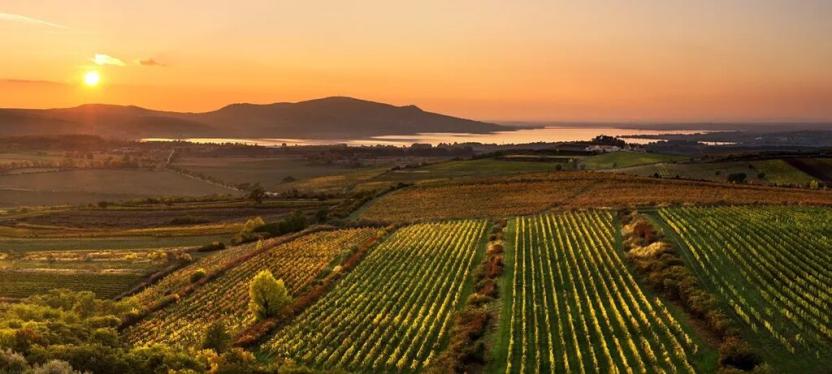 Prodej domu na klíč, Pasohlávky, 134 m2