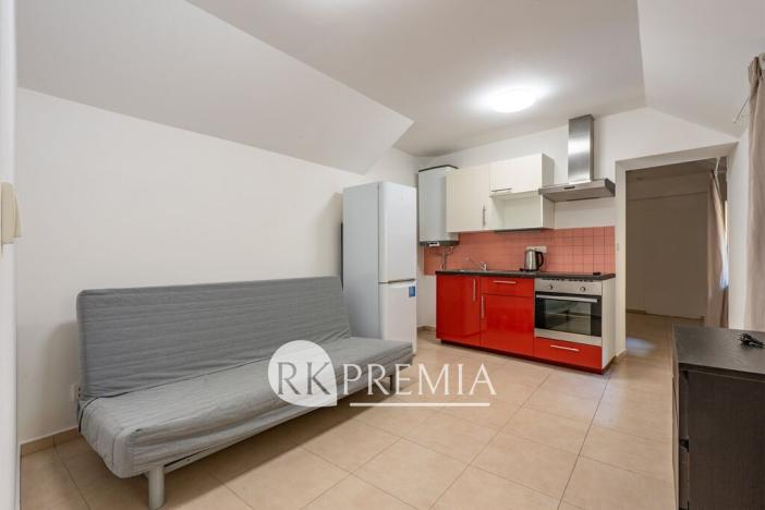 Pronájem bytu 1+1, Teplice, U Hadích lázní, 52 m2