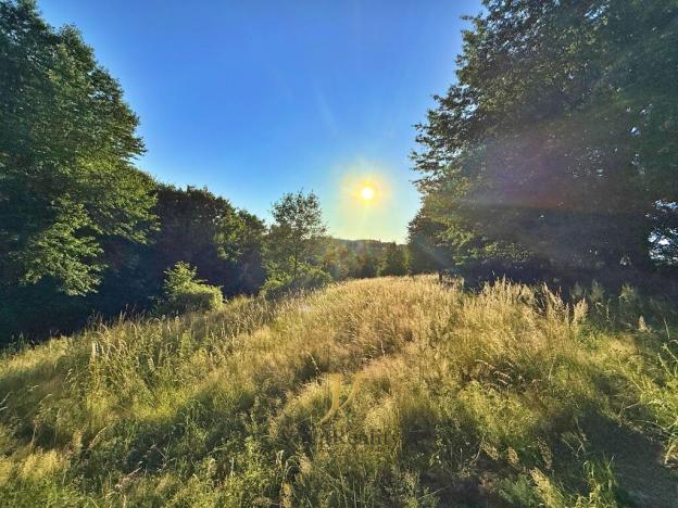 Prodej komerčního pozemku, Hlubočky, 44238 m2