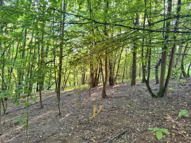 Prodej komerčního pozemku, Hlubočky, 44238 m2