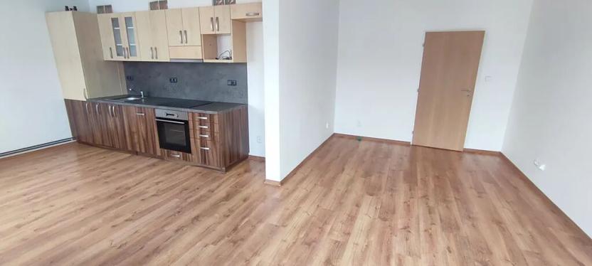 Pronájem bytu 3+kk, Ostrava, Mlýnská, 113 m2