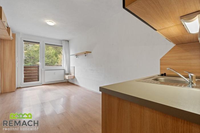 Prodej bytu 1+kk, Všemina, 25 m2
