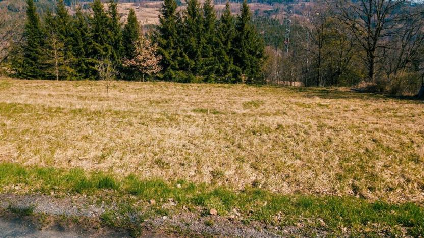 Prodej pozemku pro bydlení, Trpišovice - Dobrovítova Lhota, 2791 m2