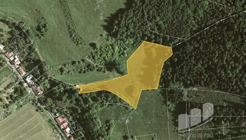 Prodej louky, Stvolová - Skřib, 9632 m2
