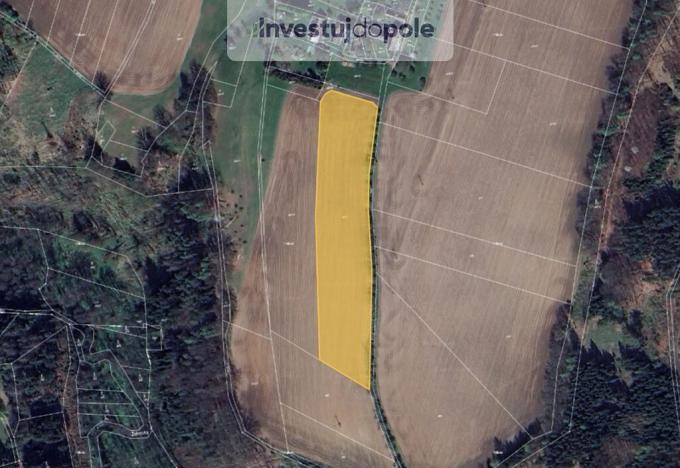 Prodej pole, Troskovice - Křenovy, 12975 m2