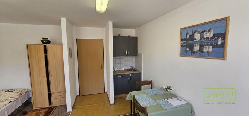 Prodej ubytování, Český Krumlov - Nové Spolí, Tichá, 800 m2