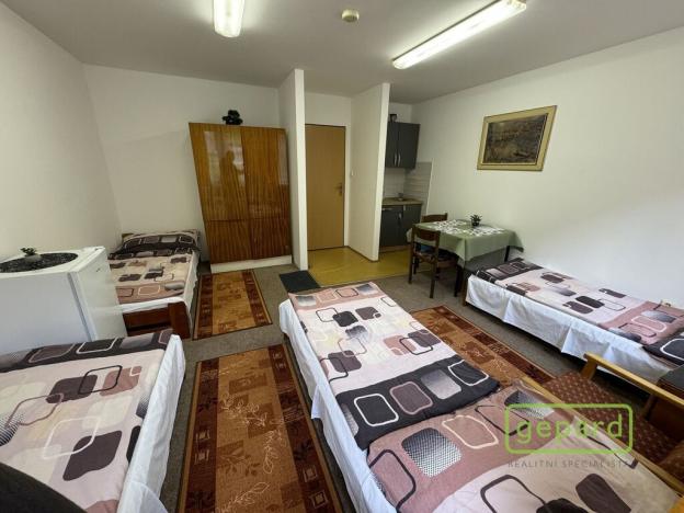 Prodej ubytování, Český Krumlov - Nové Spolí, Tichá, 800 m2