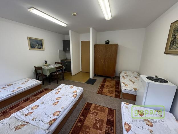 Prodej ubytování, Český Krumlov - Nové Spolí, Tichá, 800 m2