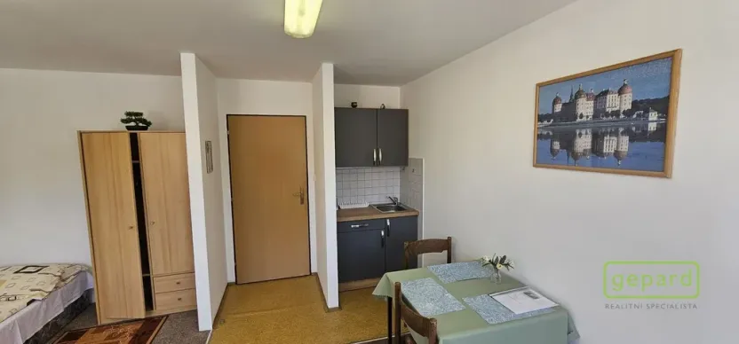 Prodej ubytování, Český Krumlov - Nové Spolí, Tichá, 800 m2