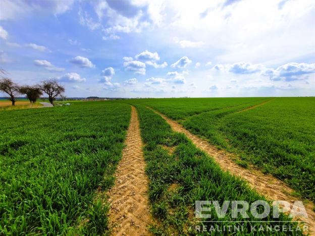 Prodej pole, Čistá, 27281 m2