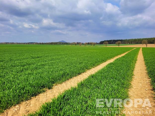 Prodej pole, Čistá, 27281 m2