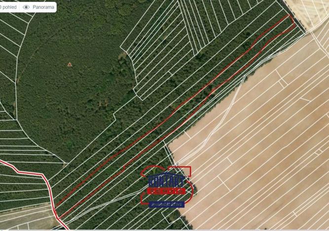 Prodej lesa, Štichovice, 14637 m2