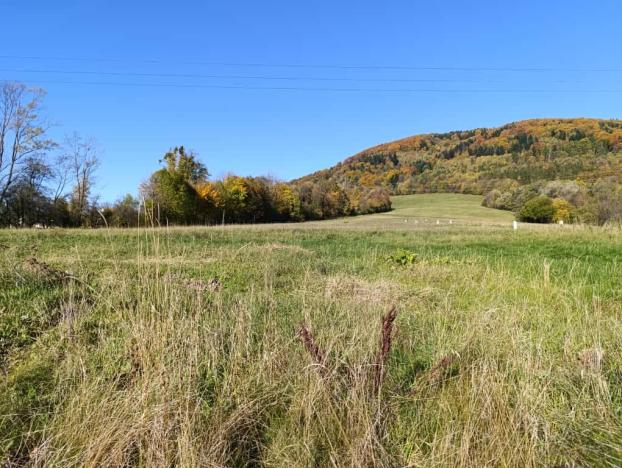 Prodej pozemku pro bydlení, Lichnov, 1651 m2