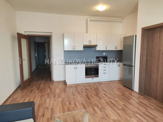 Pronájem bytu 2+kk, České Budějovice - České Budějovice 2, U Boru, 50 m2