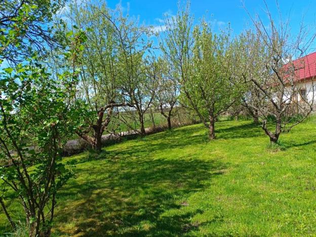 Prodej rodinného domu, Třeboň - Břilice, Dunajovická, 100 m2