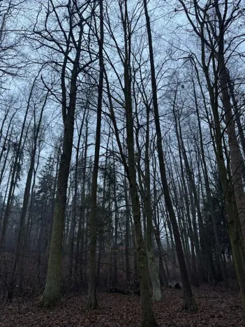 Prodej pozemku, Třebechovice pod Orebem, 14875 m2