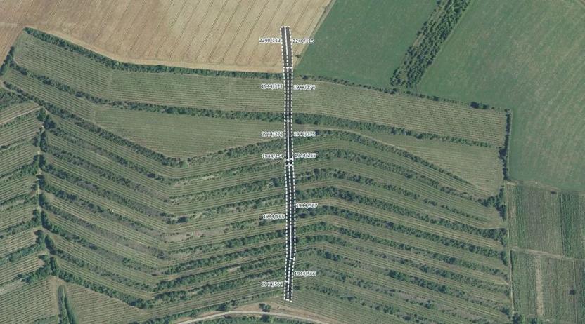 Prodej pole, Morkůvky, 4640 m2