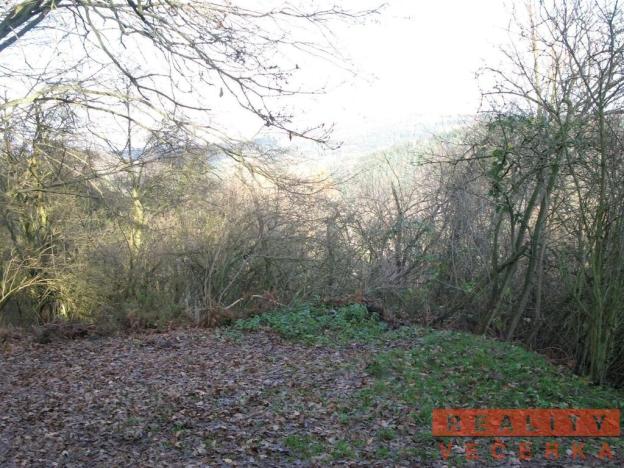 Prodej pozemku, Chocerady - Samechov, 16276 m2