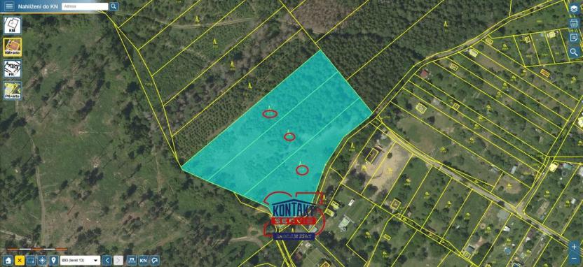 Prodej lesa, Jevíčko, 70821 m2