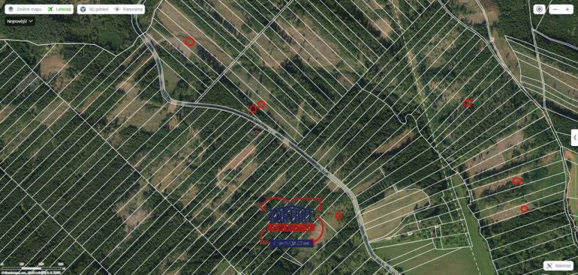 Prodej lesa, Jevíčko, 70821 m2