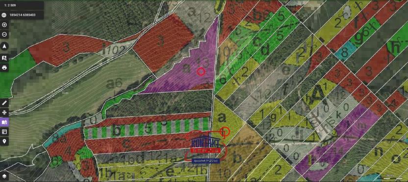 Prodej lesa, Jevíčko, 70821 m2