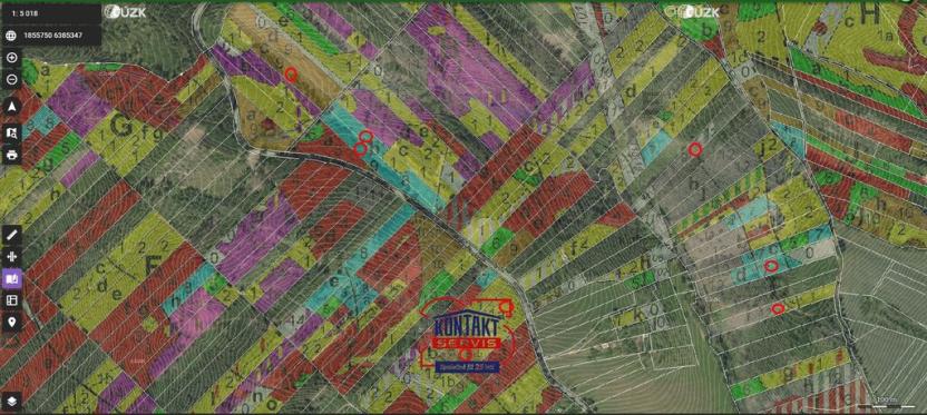 Prodej lesa, Jevíčko, 70821 m2