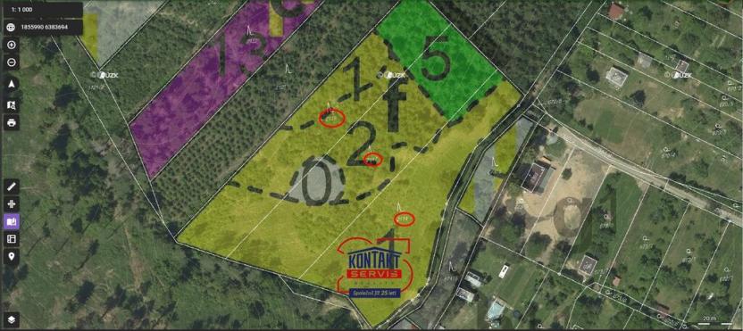 Prodej lesa, Jevíčko, 70821 m2