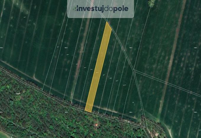 Prodej pole, Chotěšov, 4929 m2