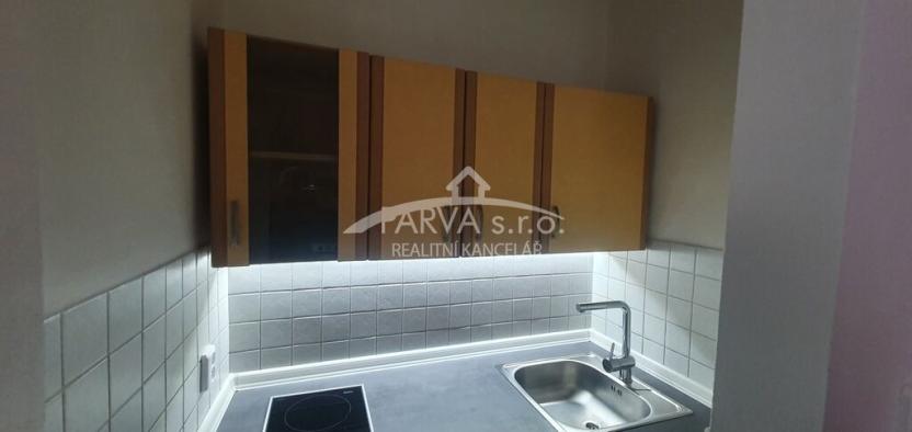 Pronájem bytu 1+kk, Plzeň - Východní Předměstí, Brojova, 20 m2