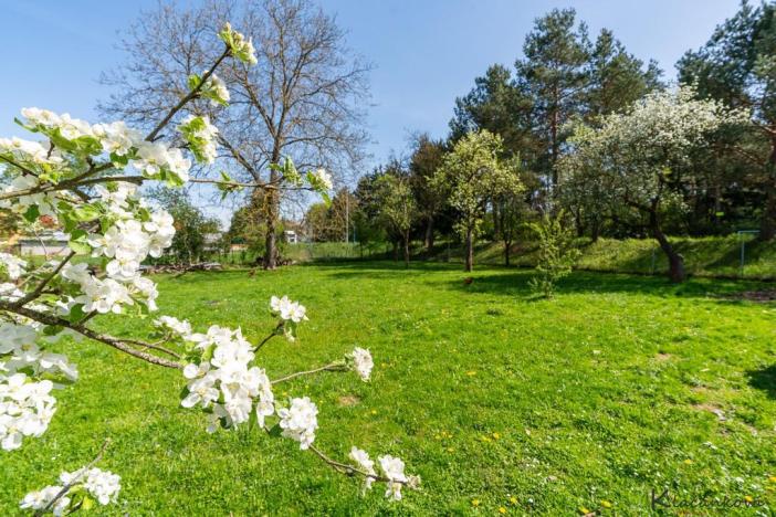 Prodej pozemku pro bydlení, Lípa, 1068 m2