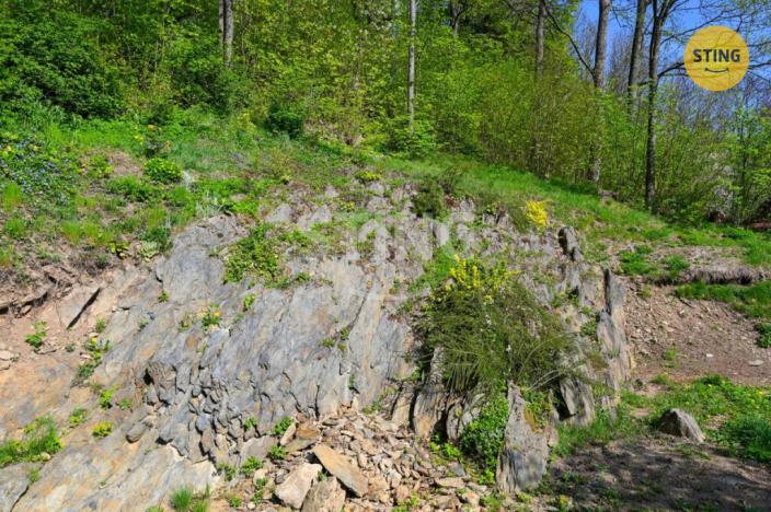 Prodej chalupy, Moravský Beroun, Horní, 173 m2