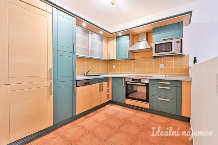 Pronájem bytu 1+kk, Brno - Staré Brno, Vodní, 60 m2