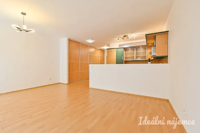 Pronájem bytu 1+kk, Brno - Staré Brno, Vodní, 60 m2