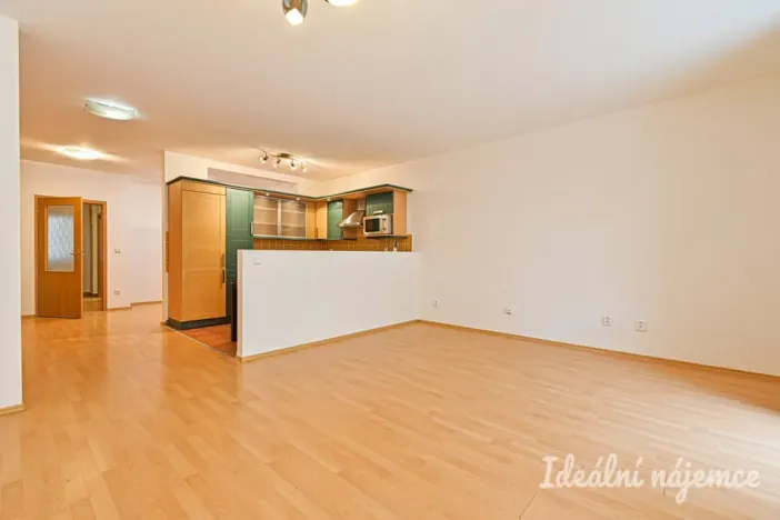 Pronájem bytu 1+kk, Brno - Staré Brno, Vodní, 60 m2