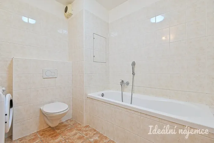 Pronájem bytu 1+kk, Brno - Staré Brno, Vodní, 60 m2