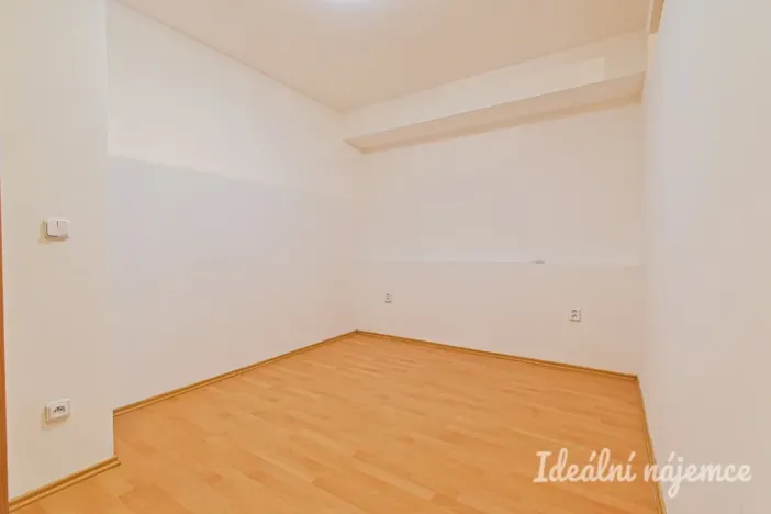 Pronájem bytu 1+kk, Brno - Staré Brno, Vodní, 60 m2