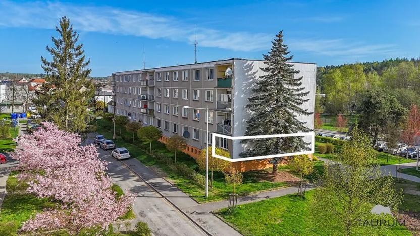 Prodej bytu 3+1, Třemošná, Luční, 65 m2
