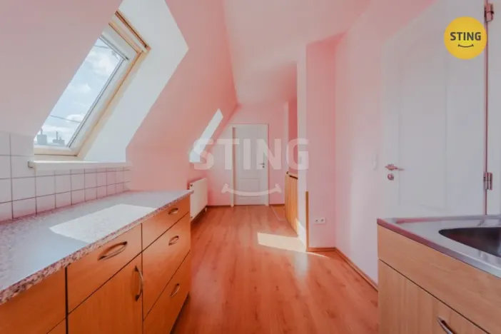 Prodej bytu 4+kk, Opava, Joži Davida, 114 m2