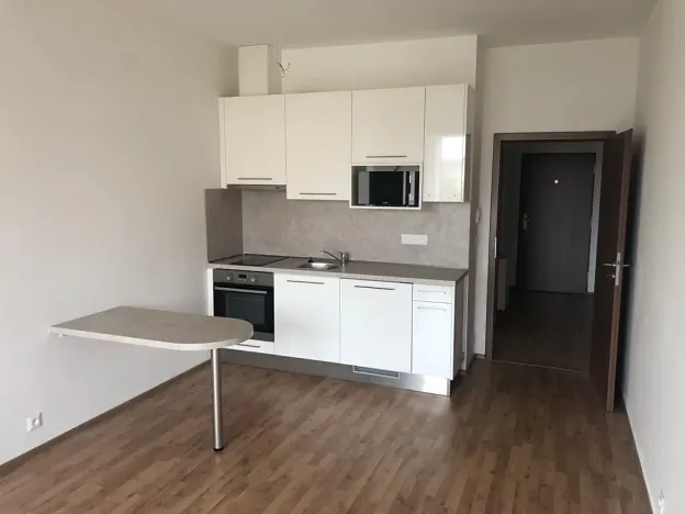 Pronájem bytu 1+kk, Olomouc, Wolkerova, 34 m2