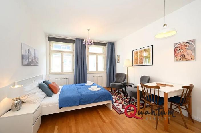 Pronájem bytu 1+kk, Praha - Vinohrady, Záhřebská, 30 m2
