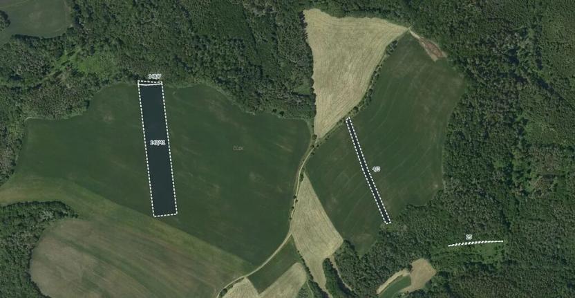 Prodej pole, Letovice, 13502 m2