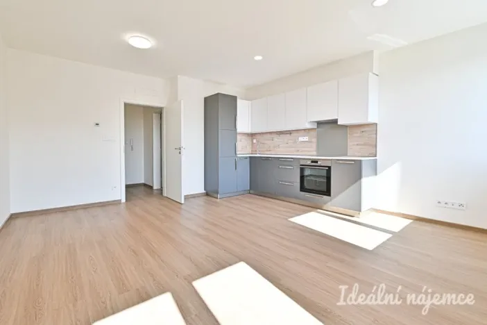 Pronájem bytu 1+kk, Brno - Židenice, Slatinská, 32 m2