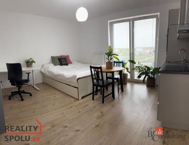 Pronájem bytu 1+kk, Plzeň - Újezd, Diamantová, 30 m2