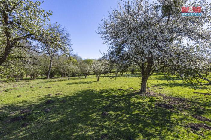 Prodej pozemku pro bydlení, Suchdol - Dobřeň, 5903 m2