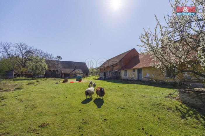 Prodej pozemku pro bydlení, Suchdol - Dobřeň, 5903 m2