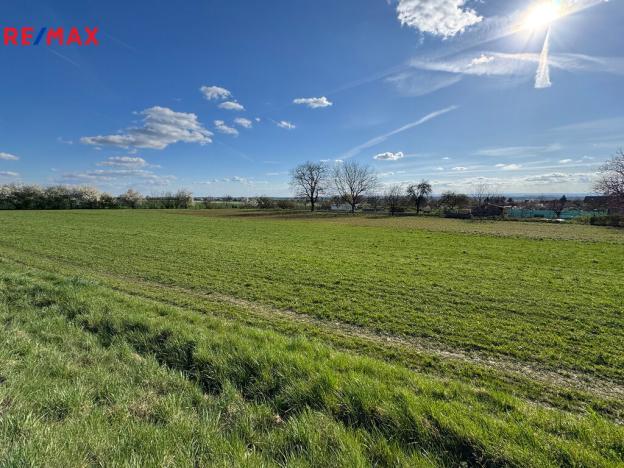 Pronájem zahrady, Tovéř, 808 m2