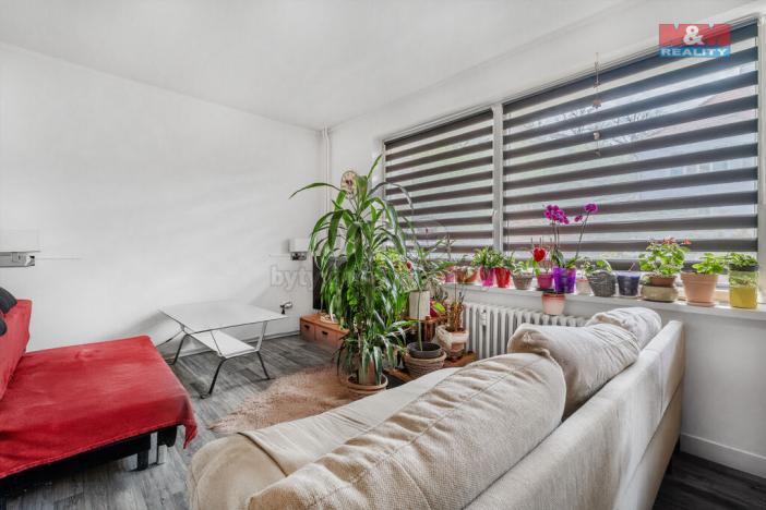 Prodej bytu 1+1, Dolní Poustevna, Vilémovská, 31 m2