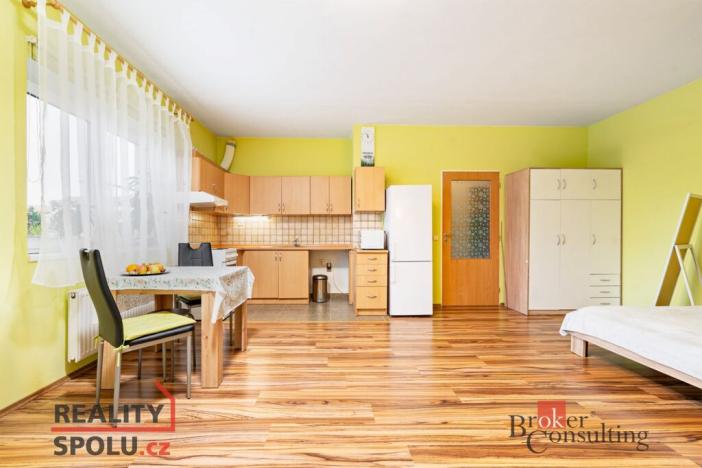 Prodej bytu 1+kk, Plzeň - Severní Předměstí, Sedlecká, 45 m2