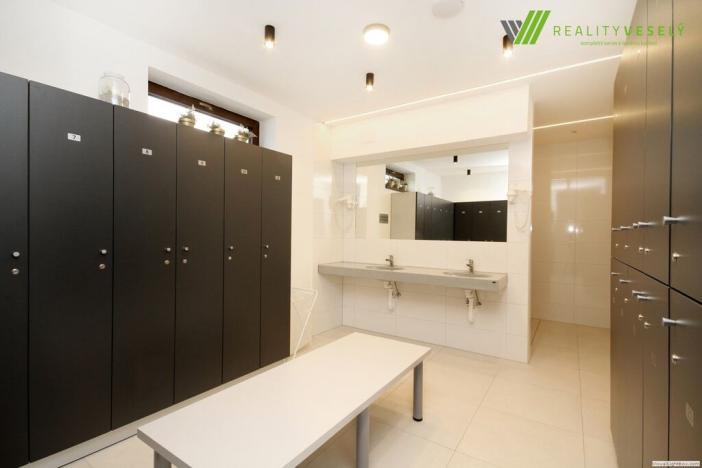 Prodej komerční nemovitosti, Veselí nad Moravou, Národních mučedníků, 391 m2